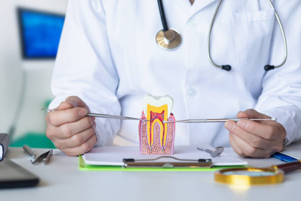 Best Emergency Root Canal Therapy in Winslow, AZ